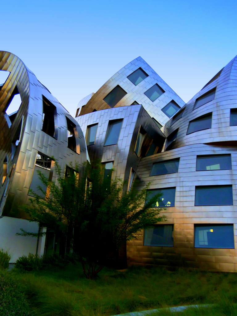 Frank Gehry 5 by Randall Weidner / 500px