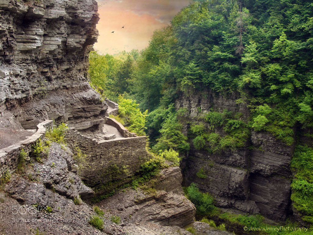 Treman Trail by Jessica Jenney