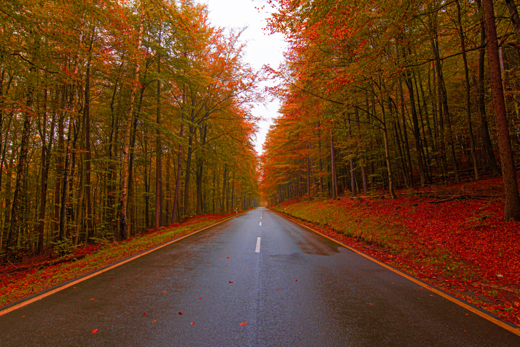 Road to eternal journey by Avinash Jain on 500px.com