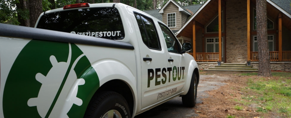 Pestout Termite and Moisture Treatment service in USA