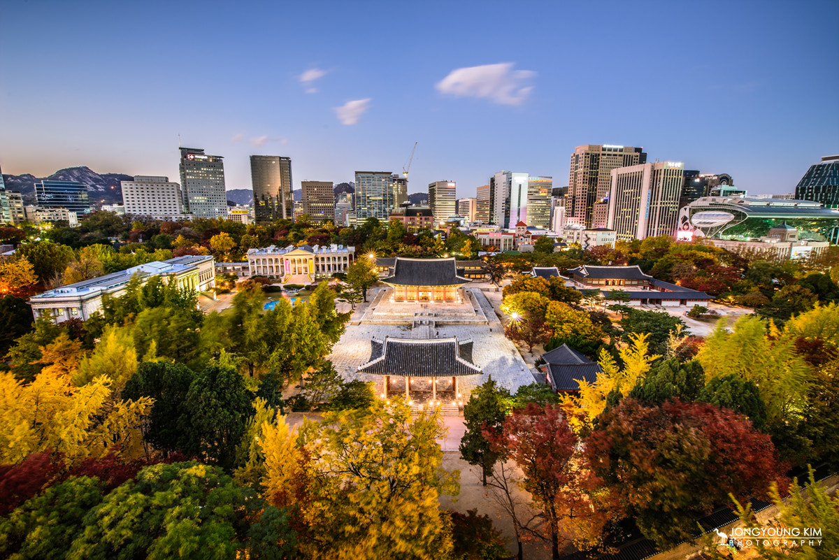 Autumn and a Palace in the city