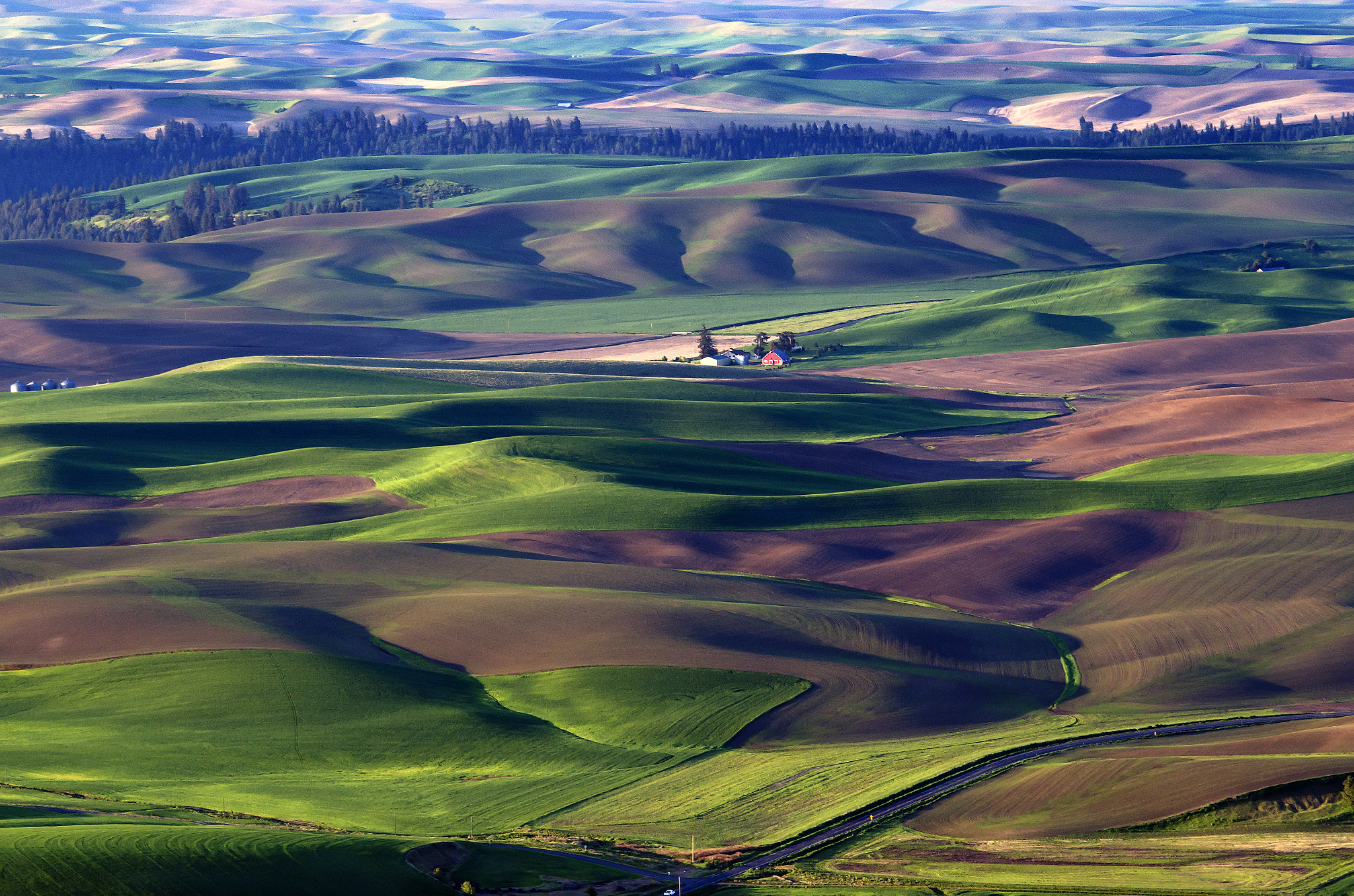 Palouse, Washington