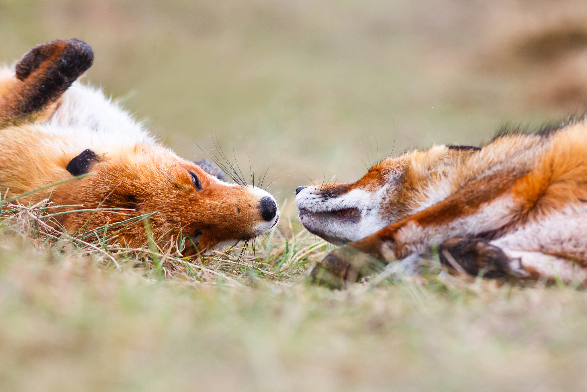 v2?sig=2bd0b6ef0c38174575731d84319c0ec576602546abd5eb3cc46f78bba7a7648b