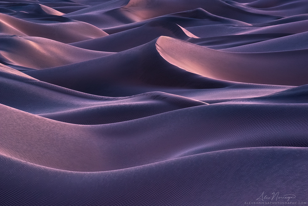 Nocturne of Shadow by Alex Noriega on 500px.com