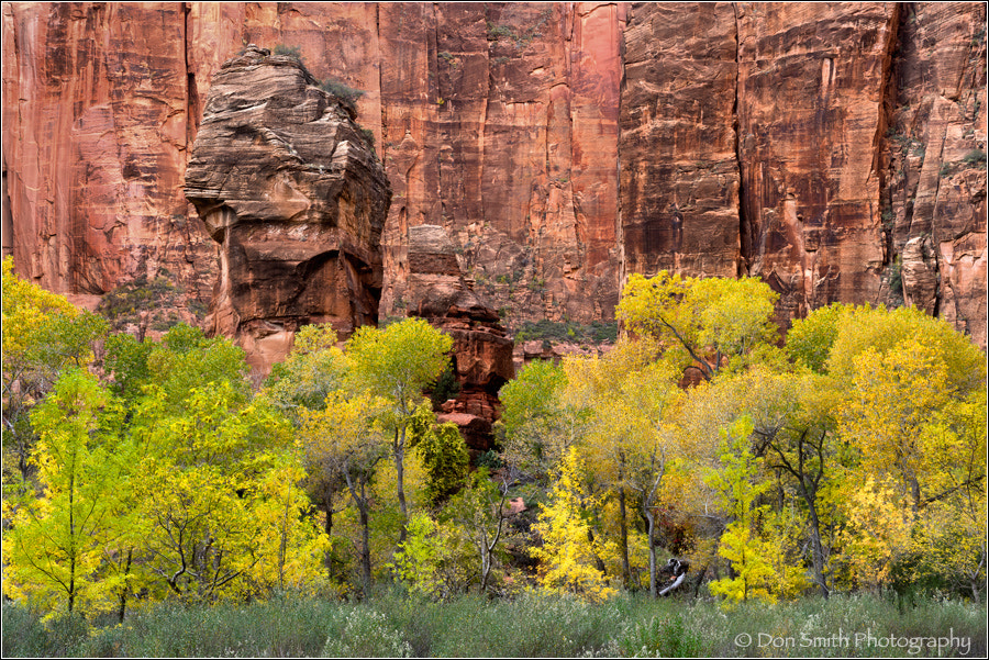 Temple of Sinawava, Zion National Park