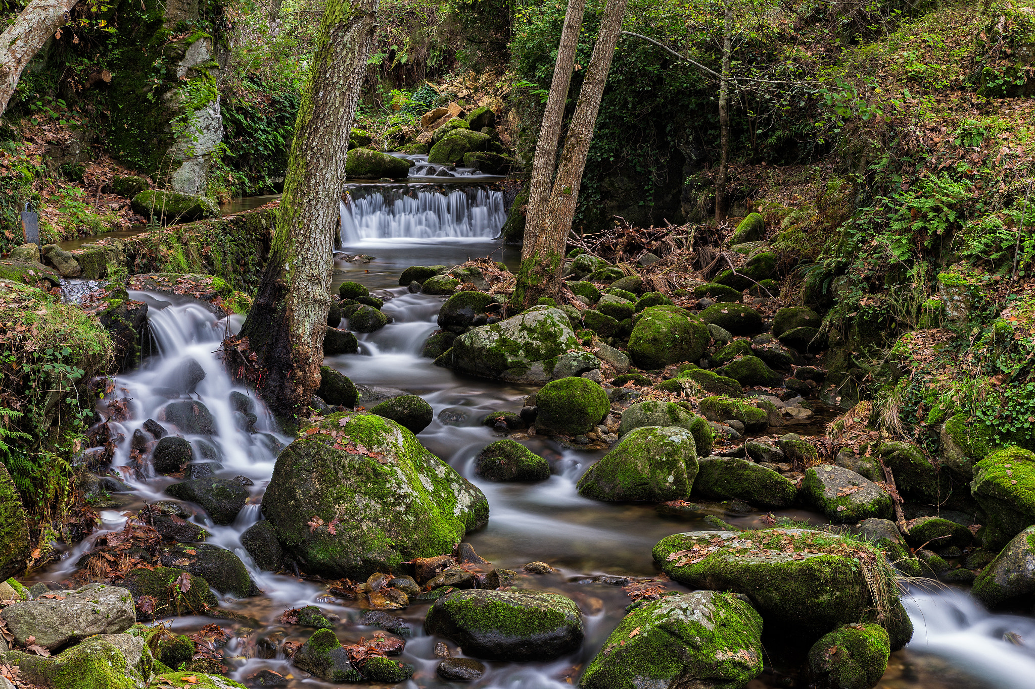 Río Gallegos  08112014-7461