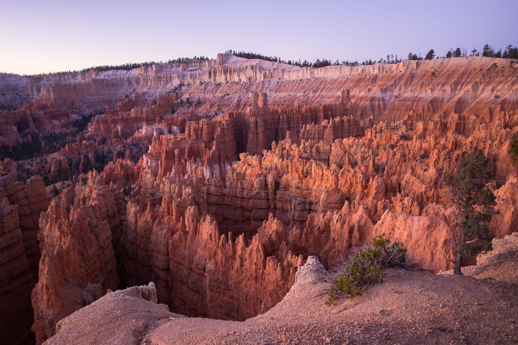Olympus OM-D E-M10 + OLYMPUS M.12mm F2.0 sample photo. Bryce canyon national park photography