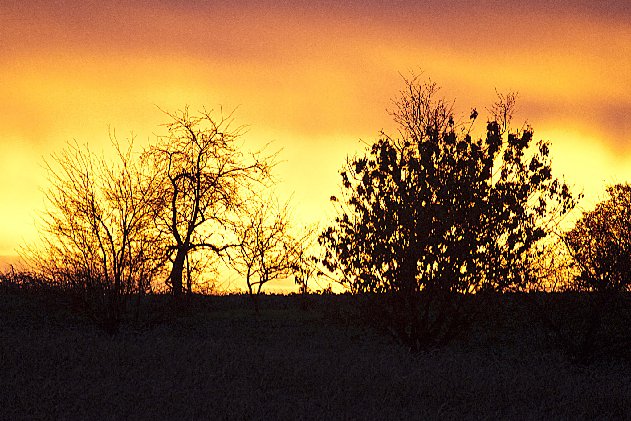 Mertrud Pascal Mertrudpascal Profile 500px