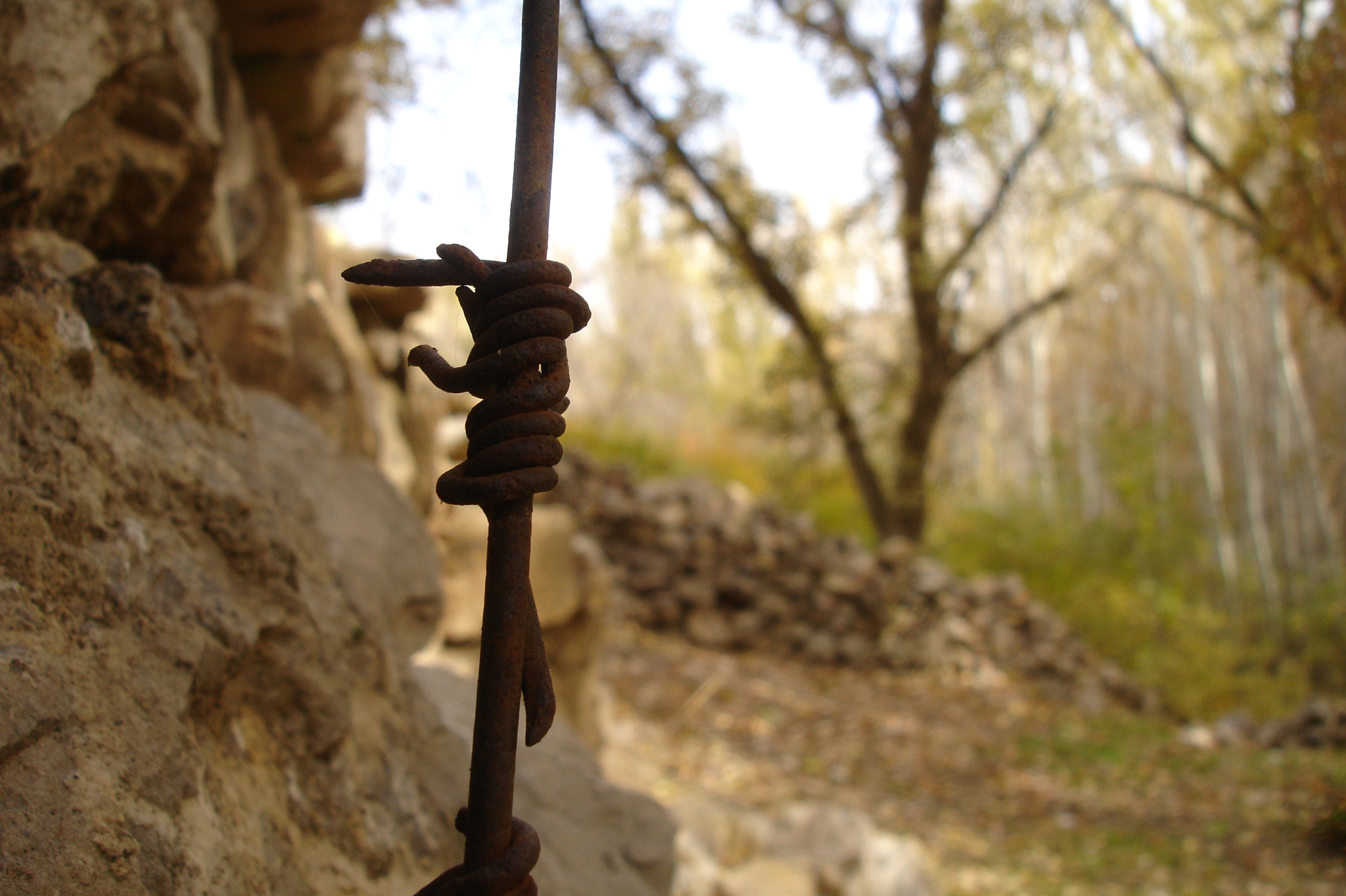 Sony DSC-P200 sample photo. Barbed wire photography