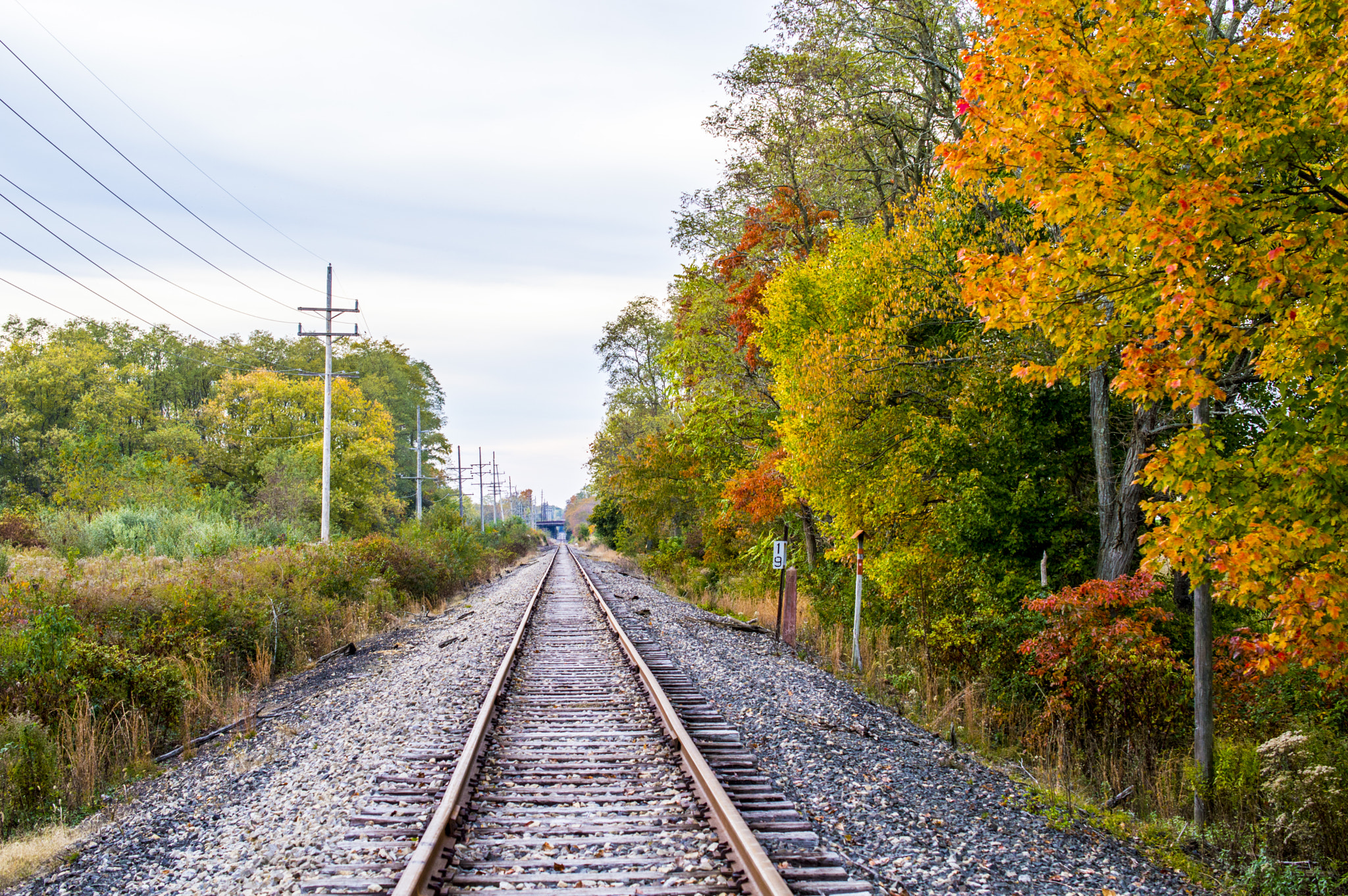 Abandoned train tracks 2