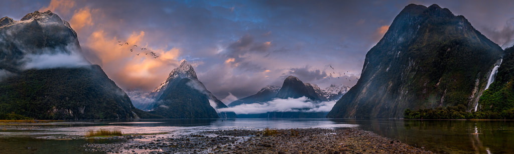 Photograph Majestic Milford by Michael Cockerill on 500px