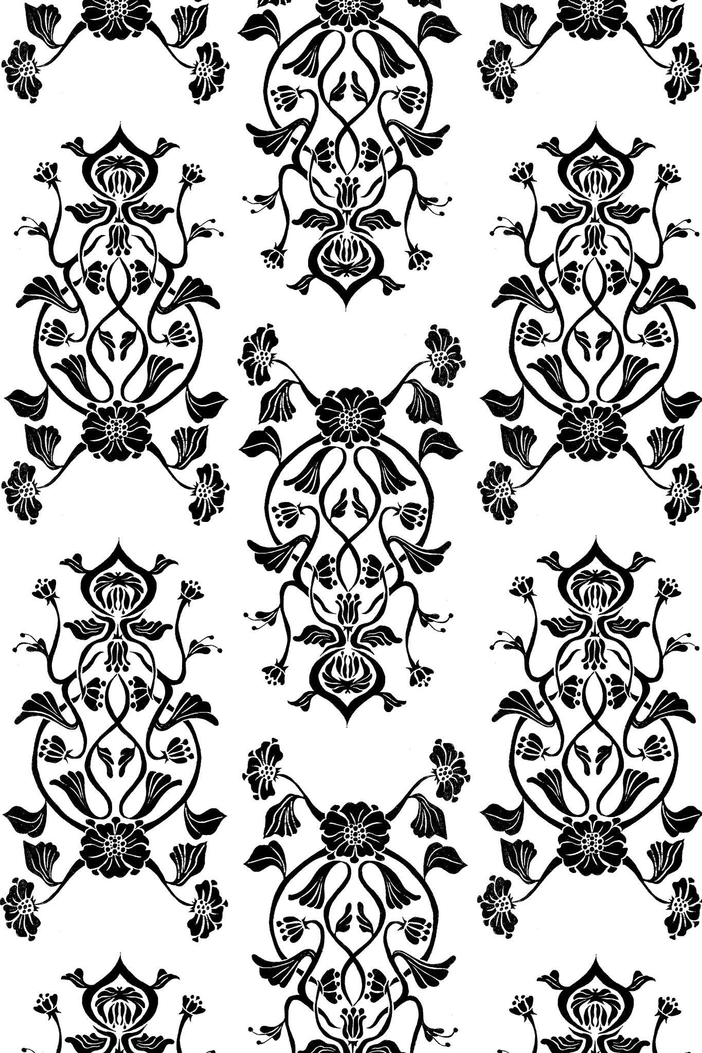 Emily Fialho Artsye Profile 500px