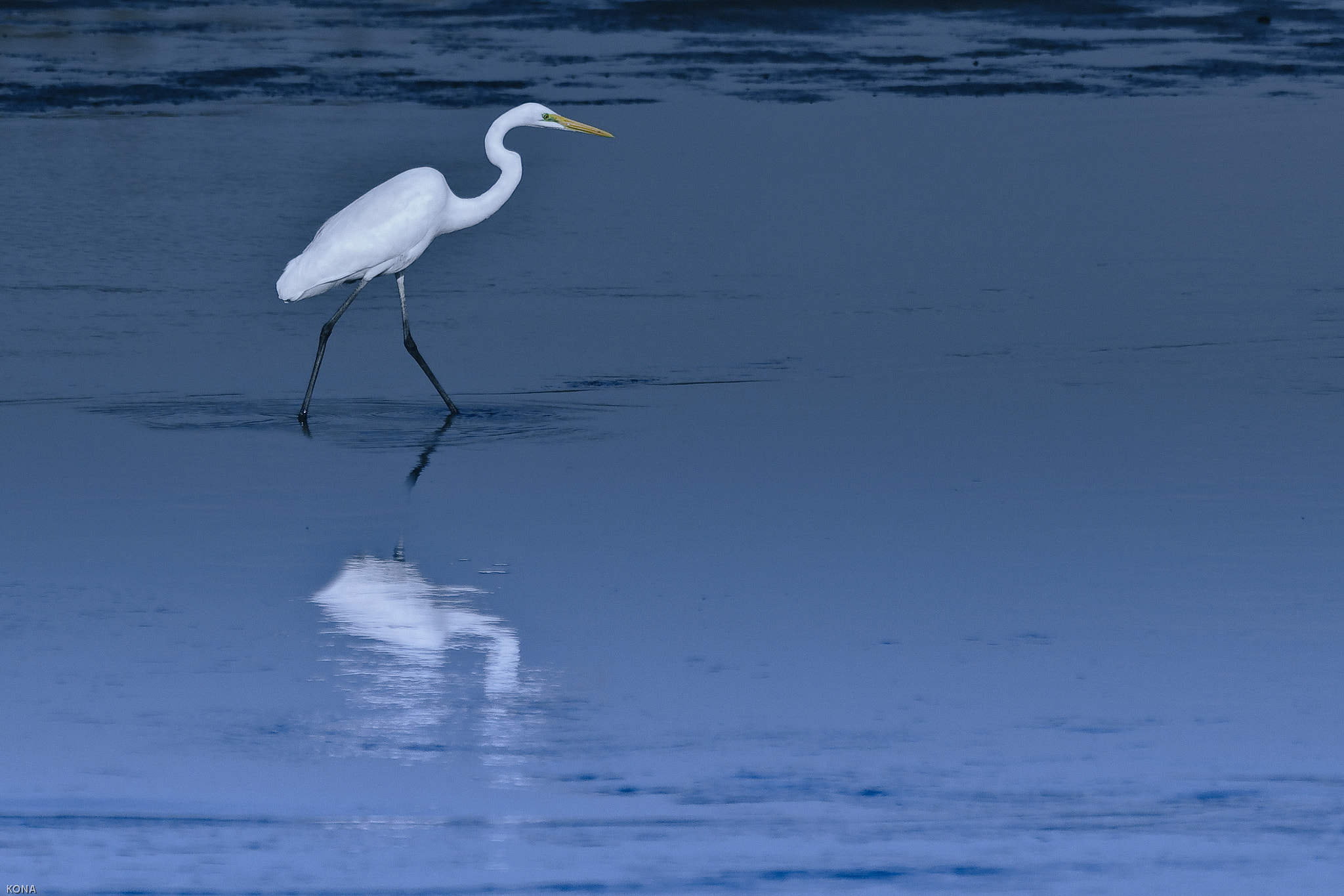 Nikon AF-S Nikkor 400mm F2.8G ED VR II sample photo. Sagi photography