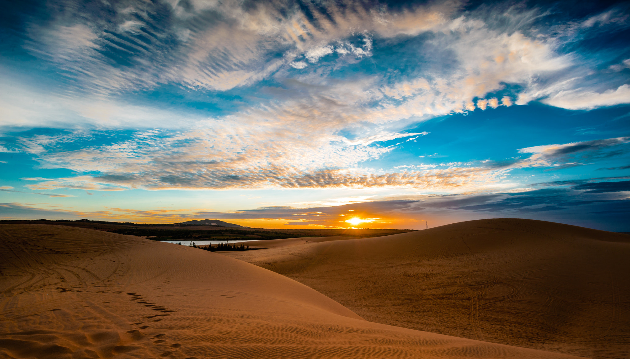 Sandhill on sunset