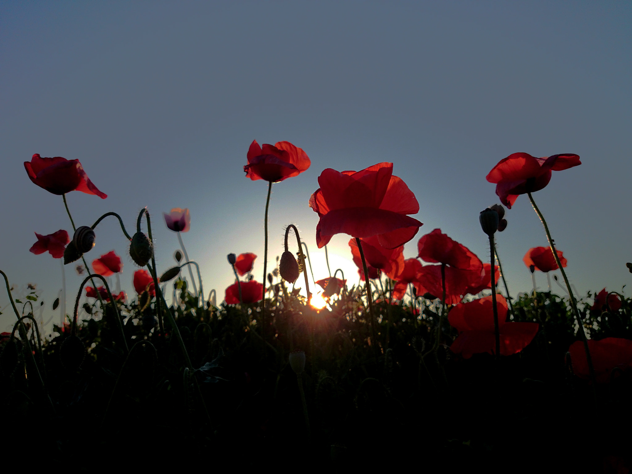 v2?sig=d94975ec70b3ddb24a7996d002a2be2b4fdcc46231f59c270e48a1a581eb235d