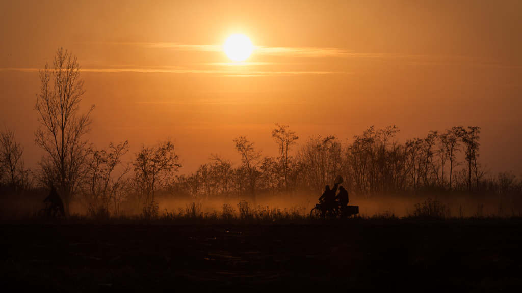 Country sunset by Csaba Bakos on 500px.com