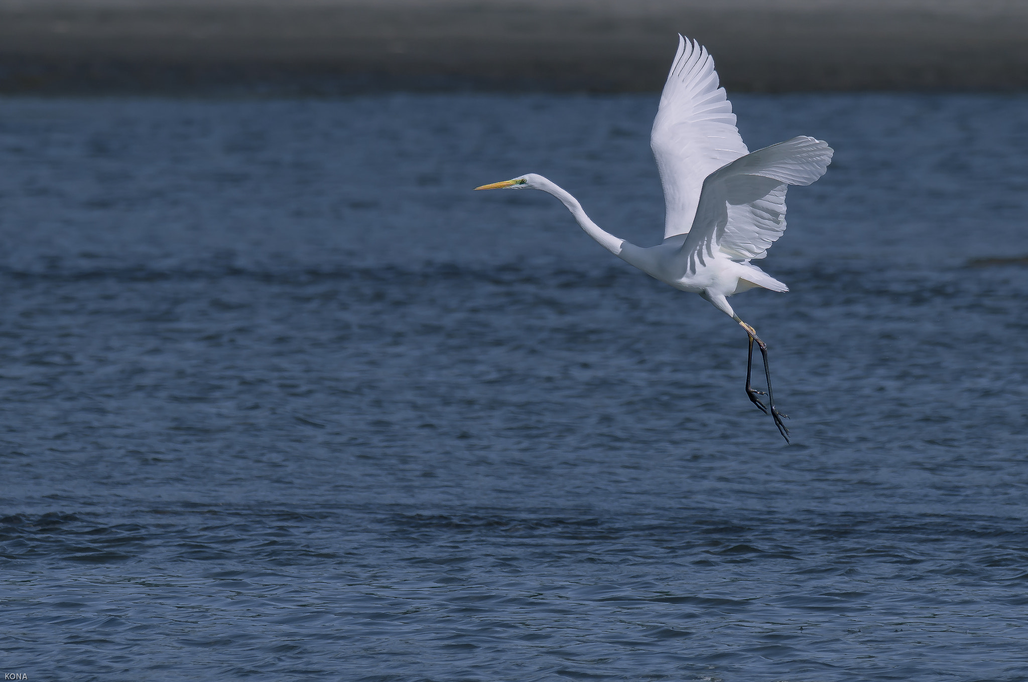 Nikon AF-S Nikkor 400mm F2.8G ED VR II sample photo. Sagi photography
