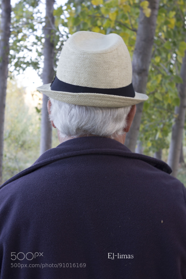 Canon EOS 550D (EOS Rebel T2i / EOS Kiss X4) sample photo. Chapeau i photography