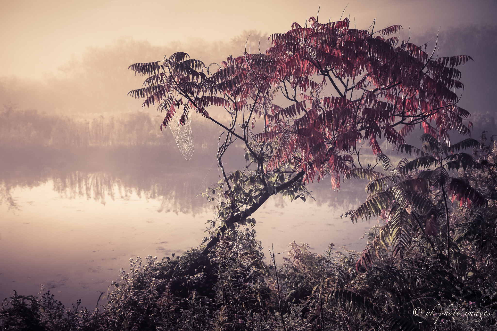 v2?sig=71d72e4a45b7ef04aef6d199015c6c449df636a4402efc28006682f9464734d1