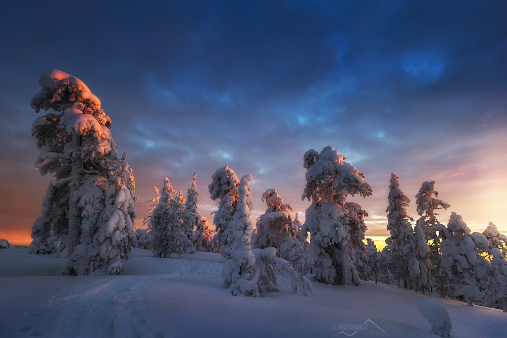 Winter sunset by Nicholas Roemmelt on 500px