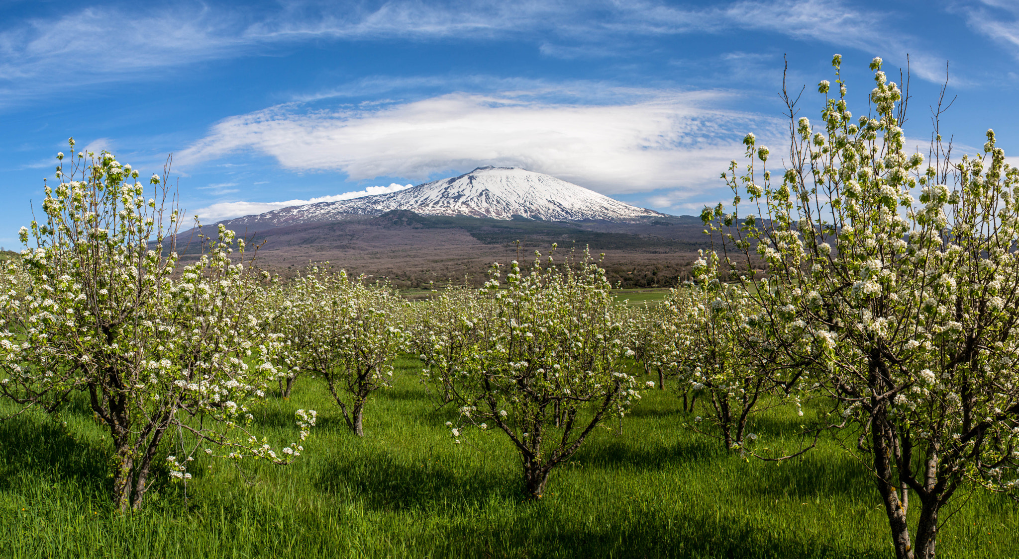 Etna in spring.