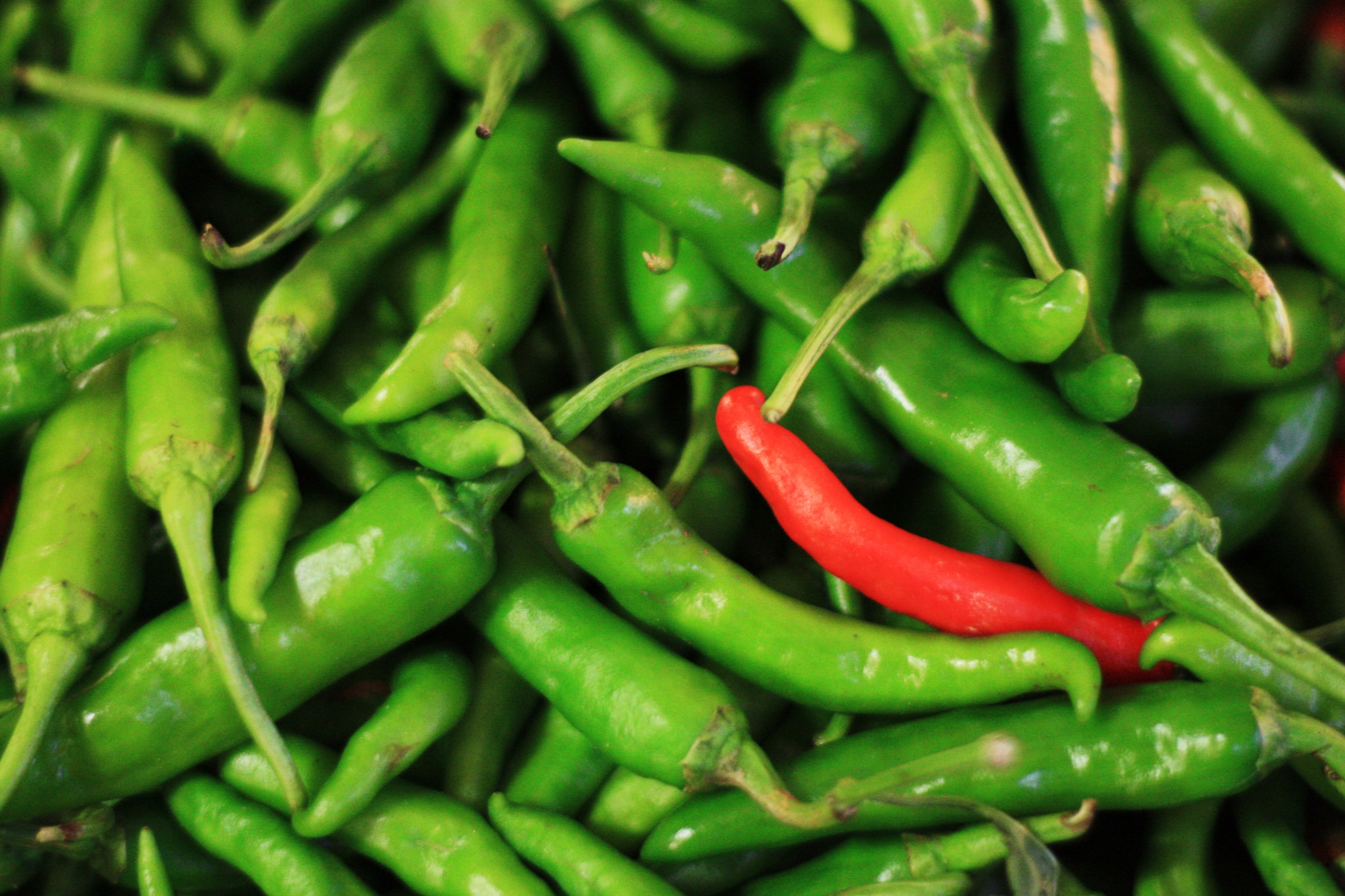 v2?sig=aace849c3028cb0e7531270c17de746da3d37e8bb84359a1607afb76ed7ea1a7