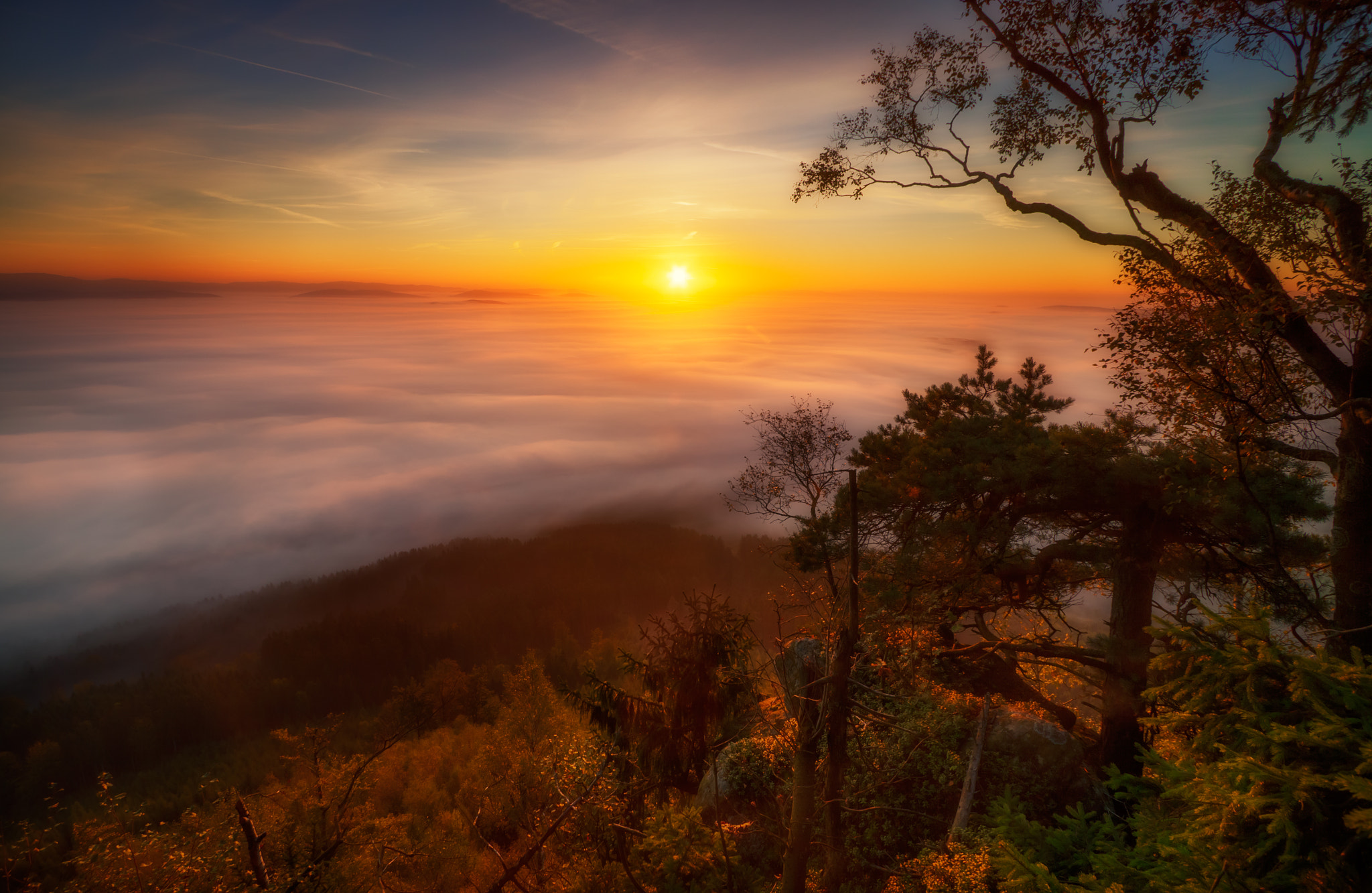 Misty Morning