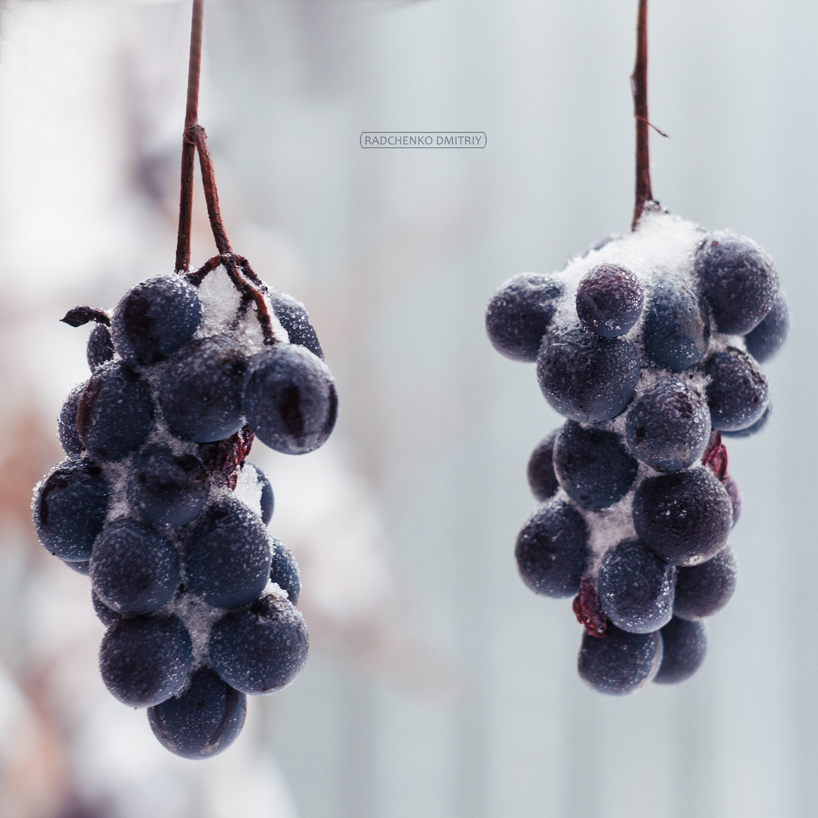 v2?sig=ea49df9c51065c4816a6956f558c917f1b2b178fb1794fc09db2cfc241a76bc2