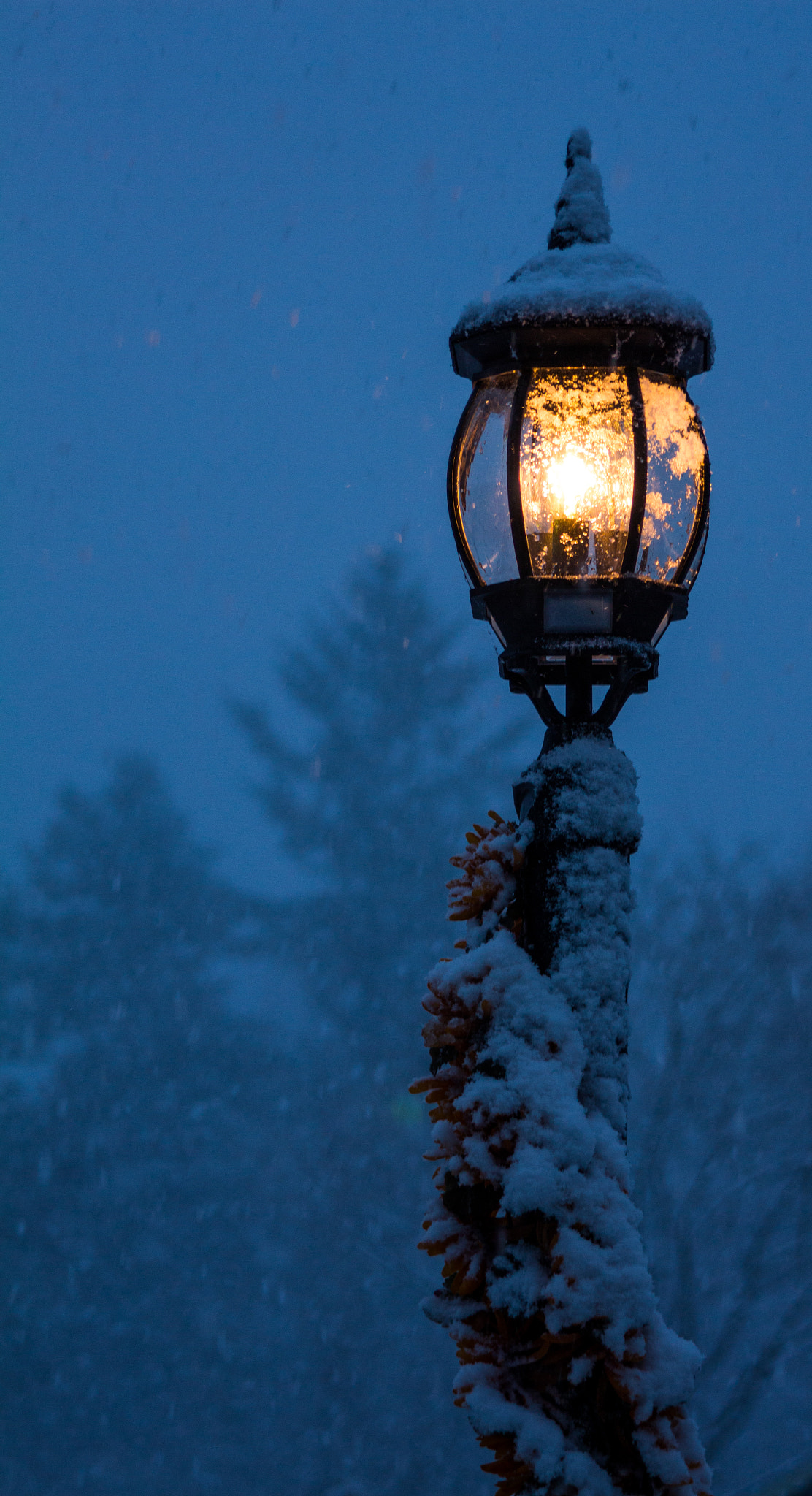 I'll Leave a Light on