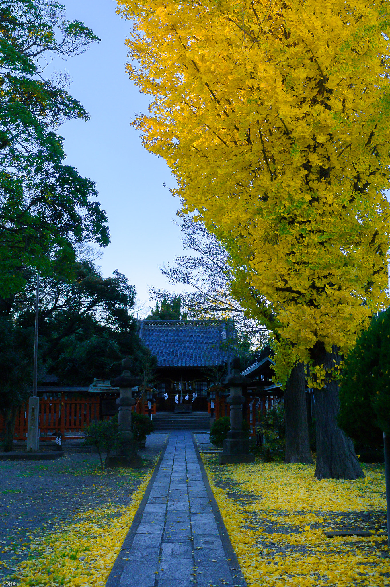 Nikon AF-S Nikkor 28-70mm F2.8 ED-IF sample photo. Ityou photography