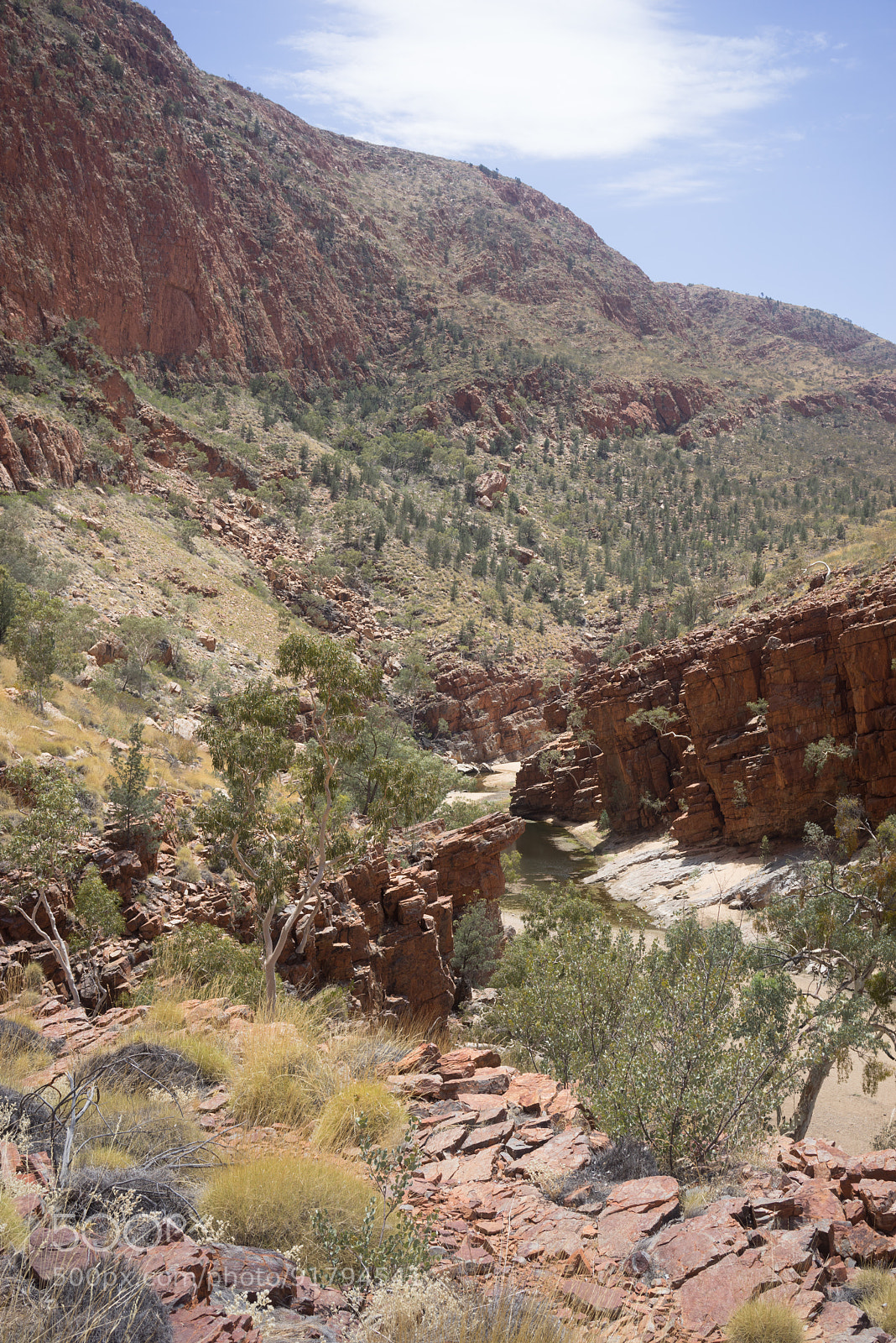 Sony a7R sample photo. Australie photography