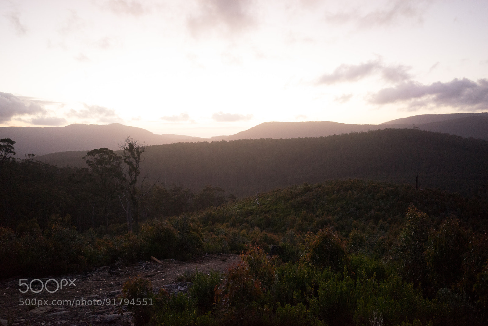 Sony a7R sample photo. Australie photography