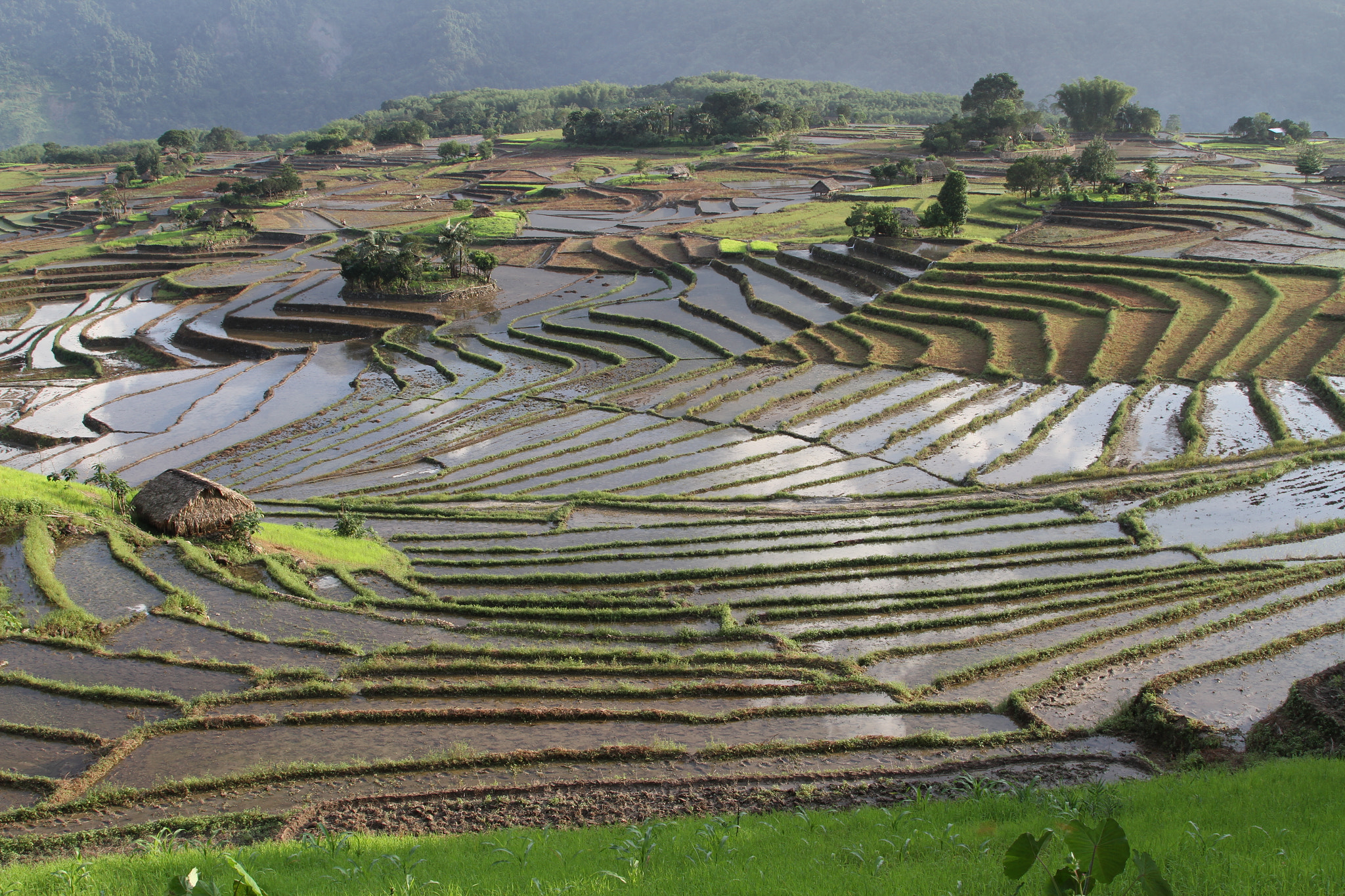 Terrace Farming By Kaling Dai Photo 9184825 500px