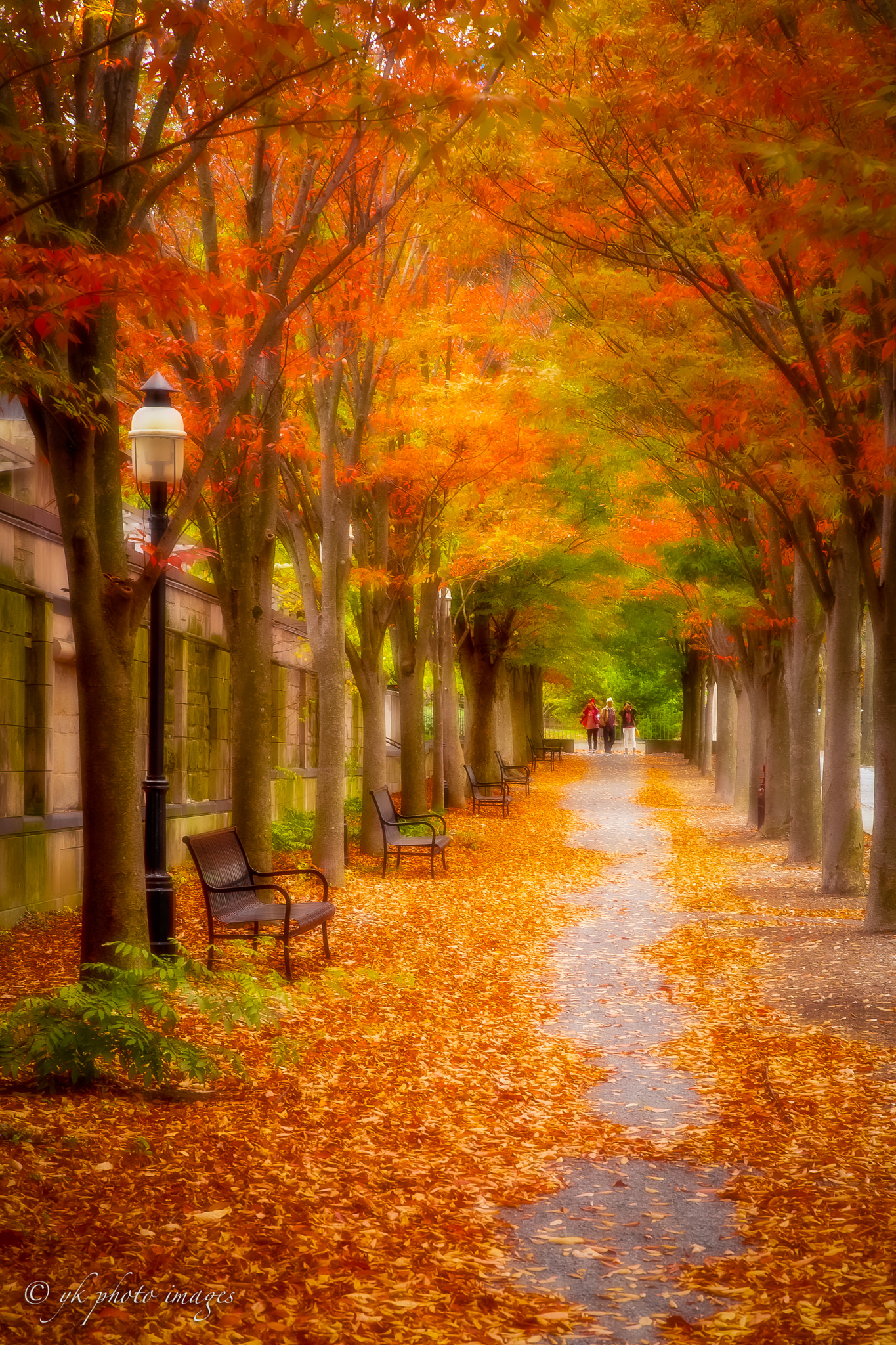 v2?sig=0b1702e04d1fc98db572351326c5ce848e051af78bd864e139fb4721e9736cc0