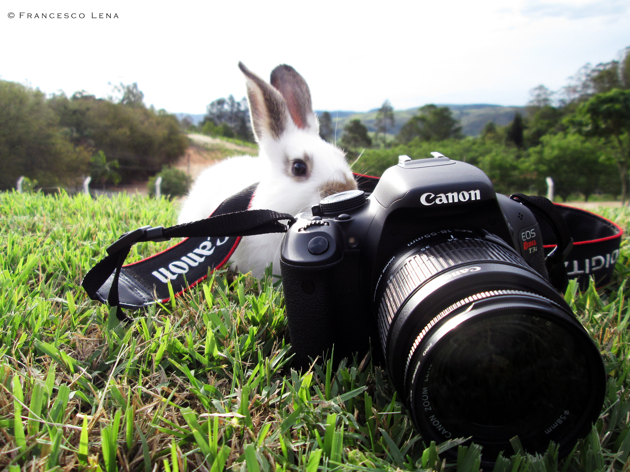 My photographer partner!