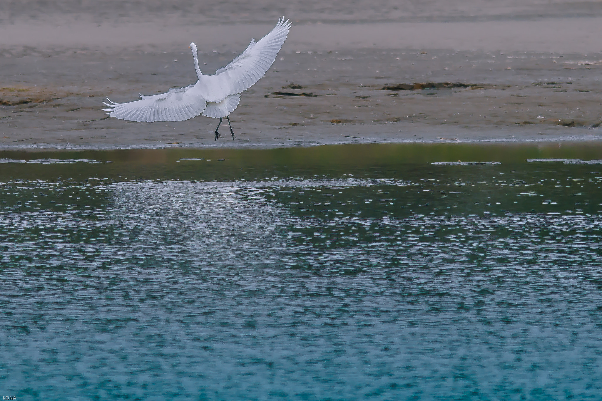 Nikon AF-S Nikkor 400mm F2.8G ED VR II sample photo. Sagi photography