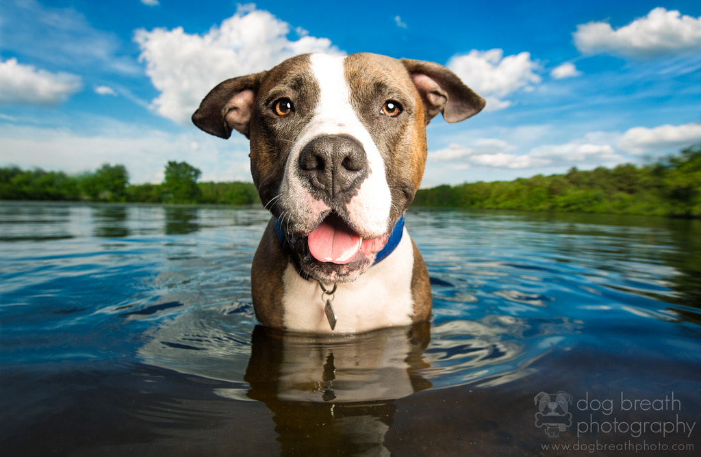 Fuzzy Swimmer by Kaylee Greer on 500px.com