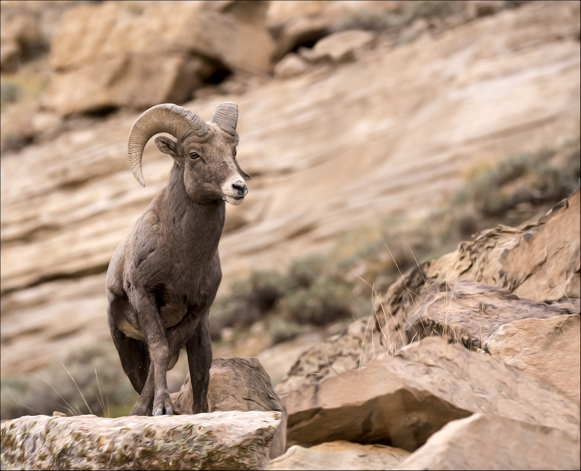 v2?sig=2172624257ae79a823acec0fbfd9d7e54a3bbdf285aa53a2bc1fceff48da9a2b