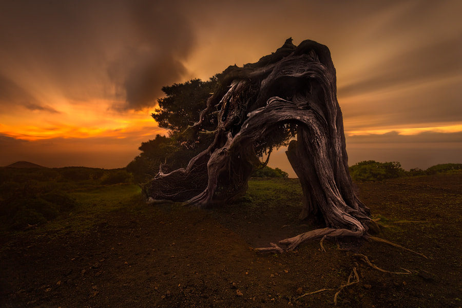 Curvada por el viento de Florencio Barroso en 500px.com