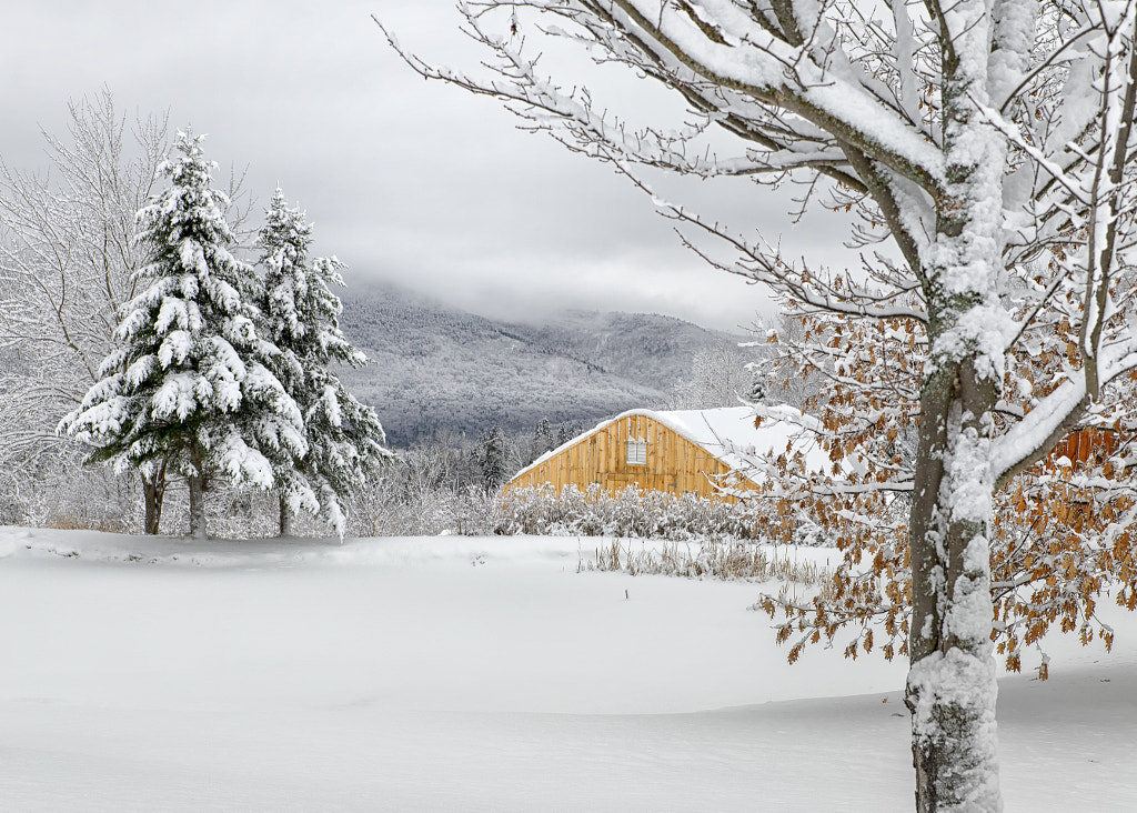 Greenhouse under the snow by Micheline Freyssonnet on 500px.com