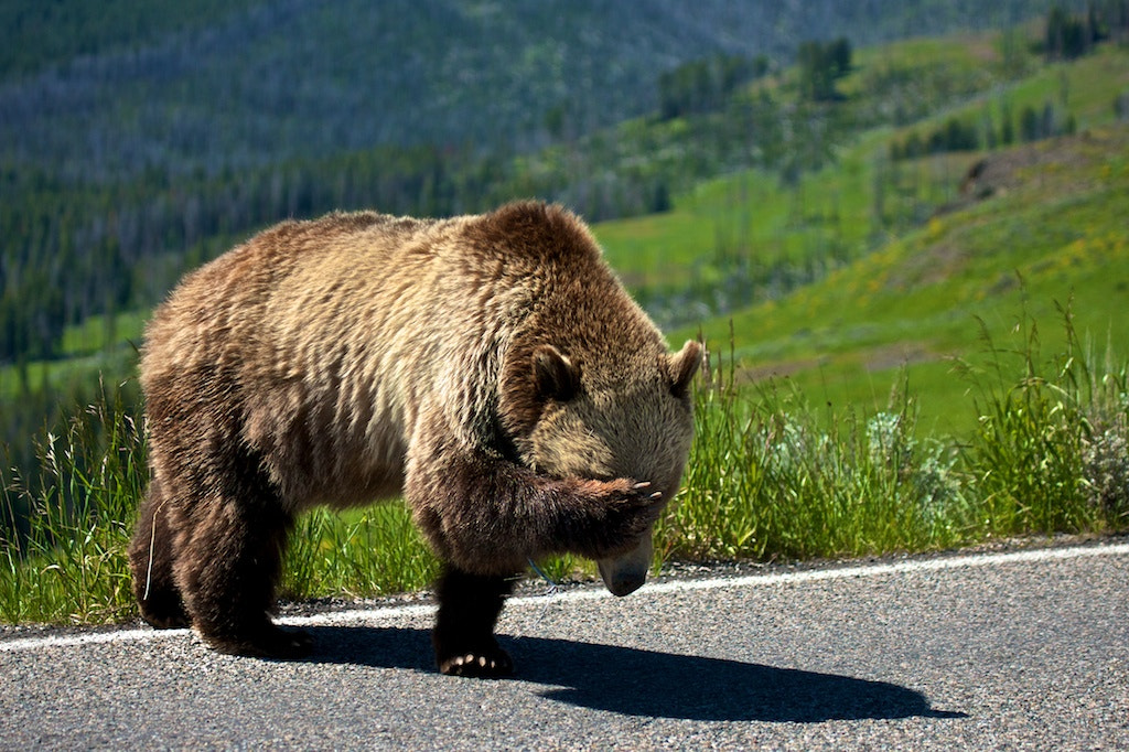 I'm Embarrassed by Buck Shreck on 500px.com