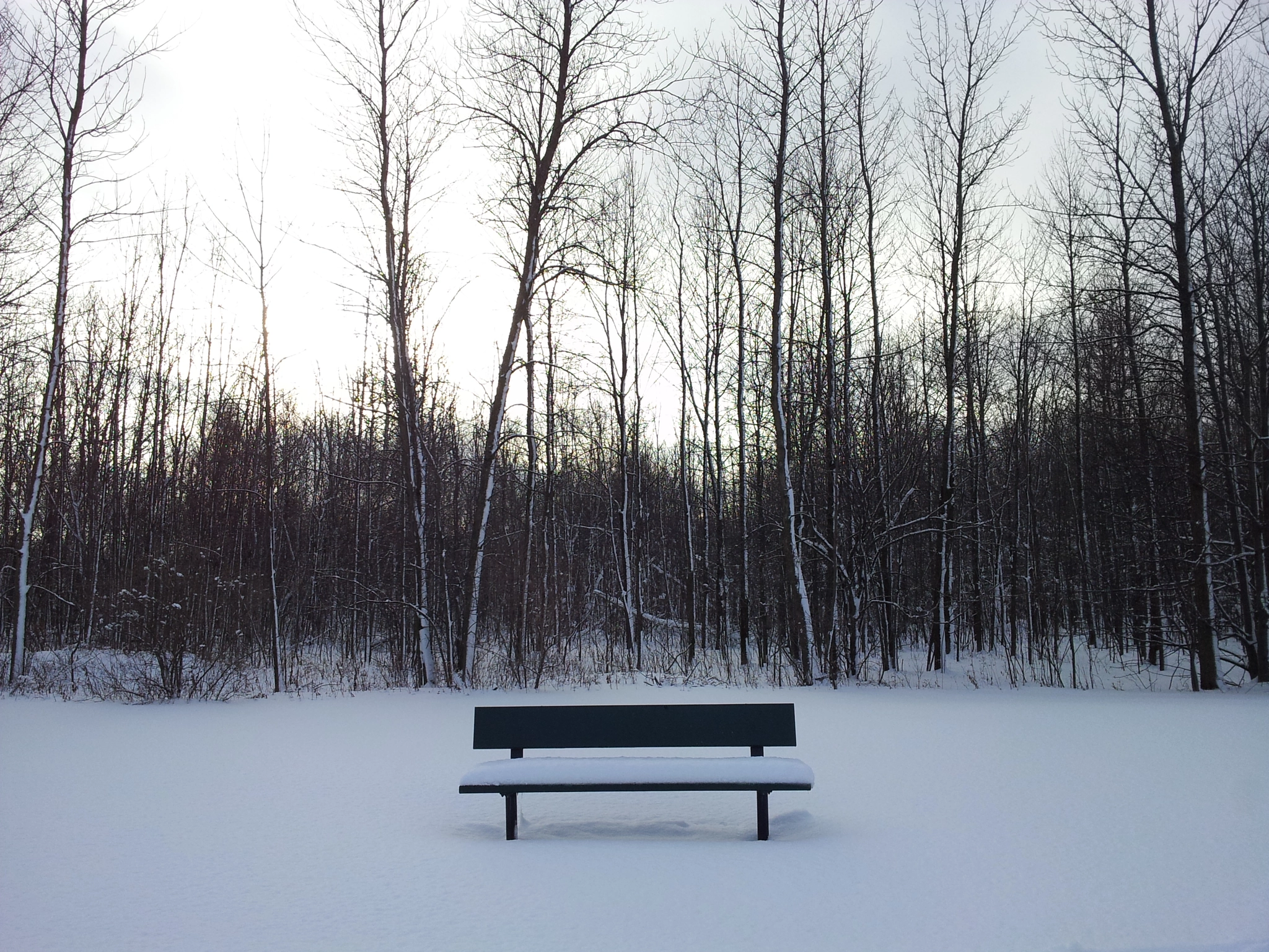 v2?sig=2c8e1fbe87c8400ea8caff78bd40b60ceda88ada6bad1c409be616c4cfa75506