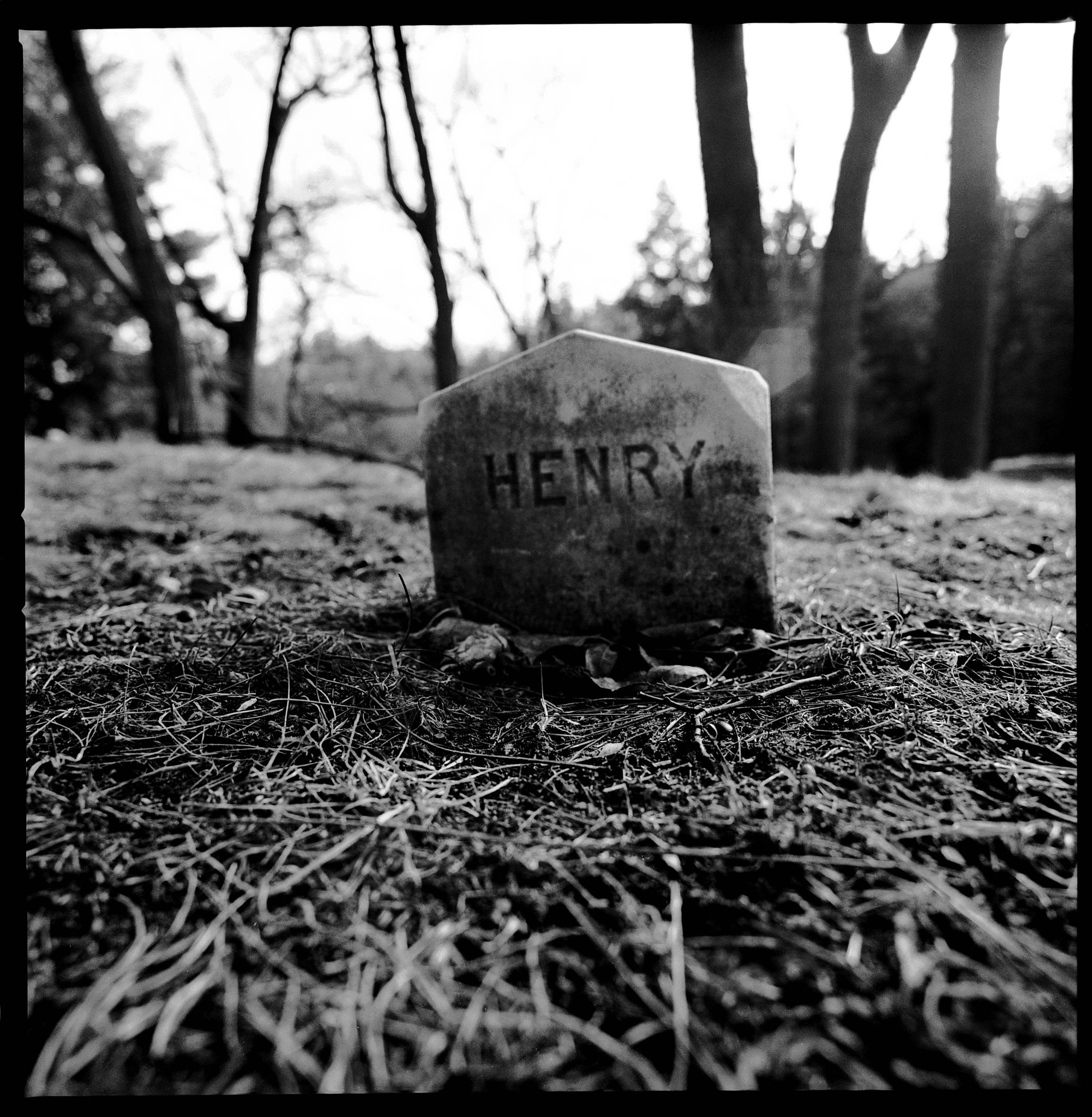 Henry David Thoreau Grave