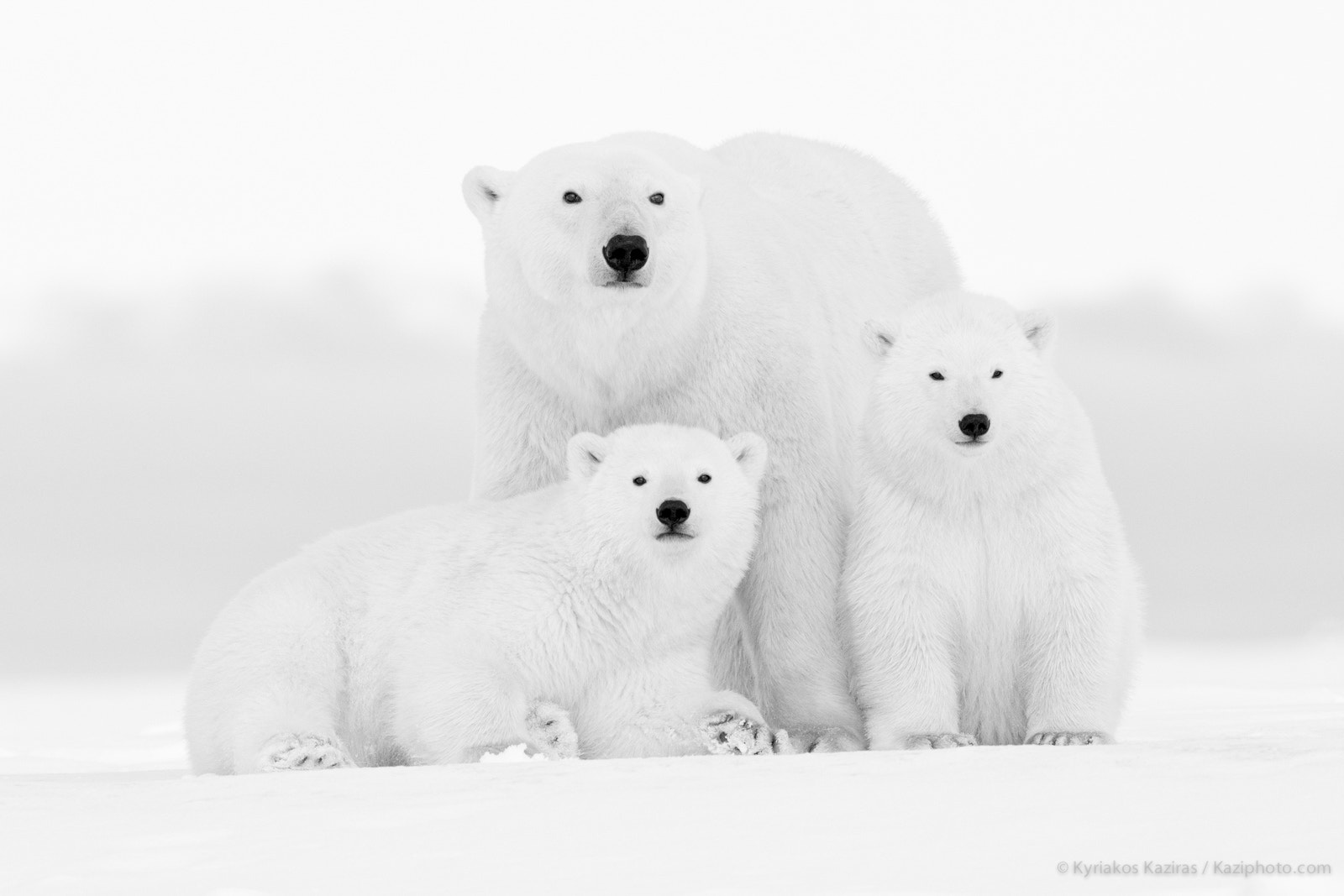 Canon EF 600mm F4L IS II USM sample photo. Happy family photography