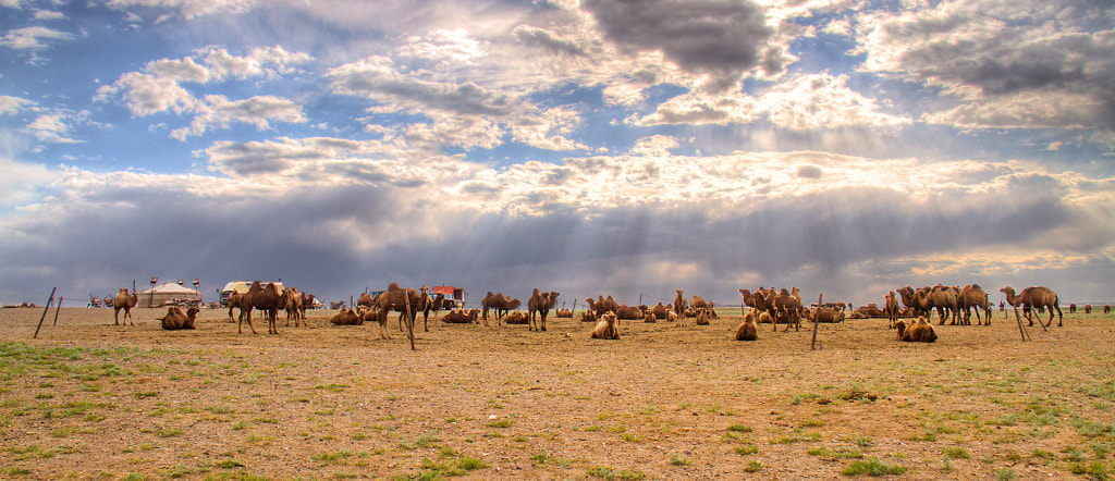 Umnugobi province, Mongolia by Munkhjargal Muujii on 500px.com