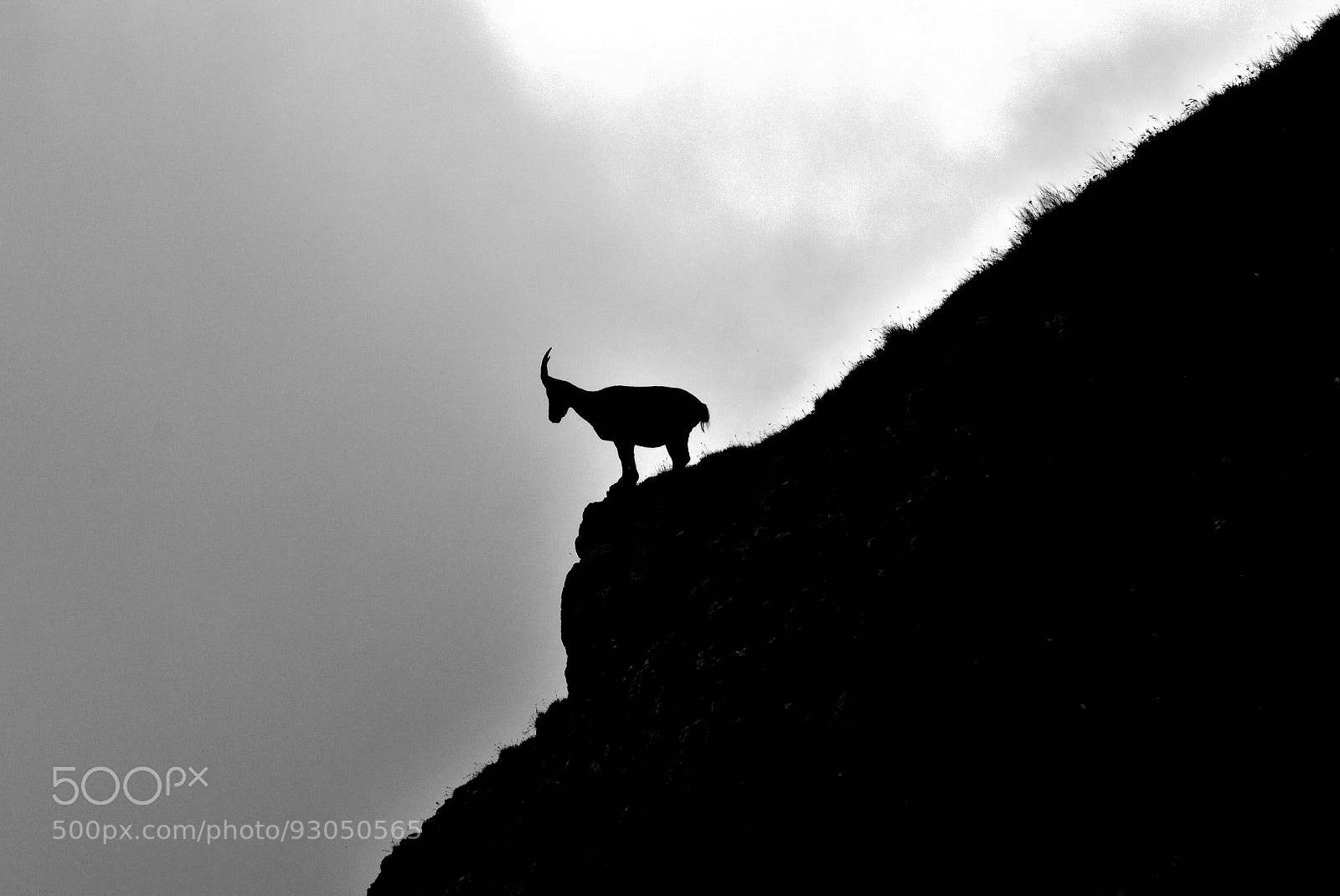 Nikon D800 sample photo. Untitled photography