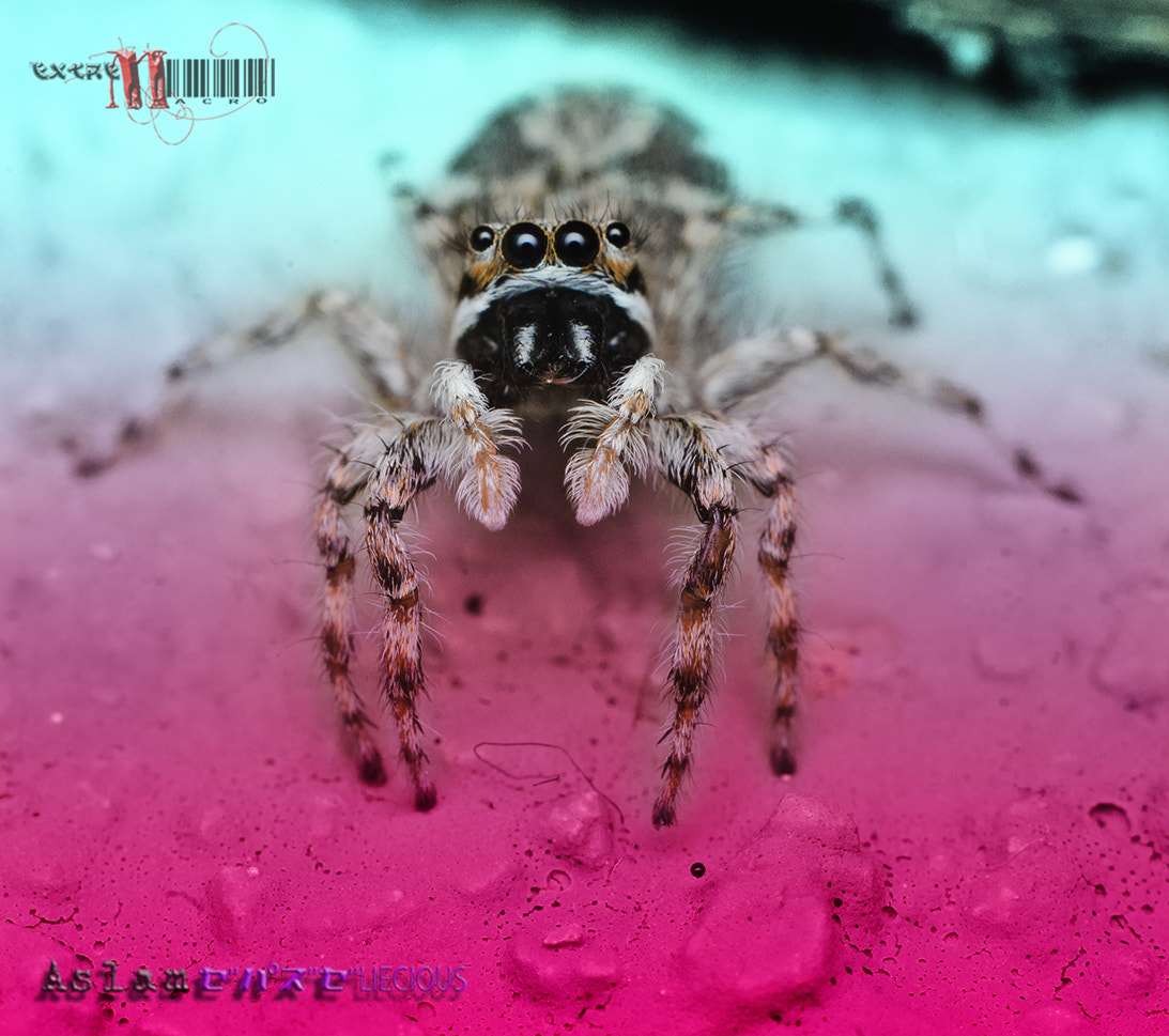 v2?sig=7a31f7e0c2116512a86679ed353fcc1f7a419e8679a588f509d48963ed0b4cae