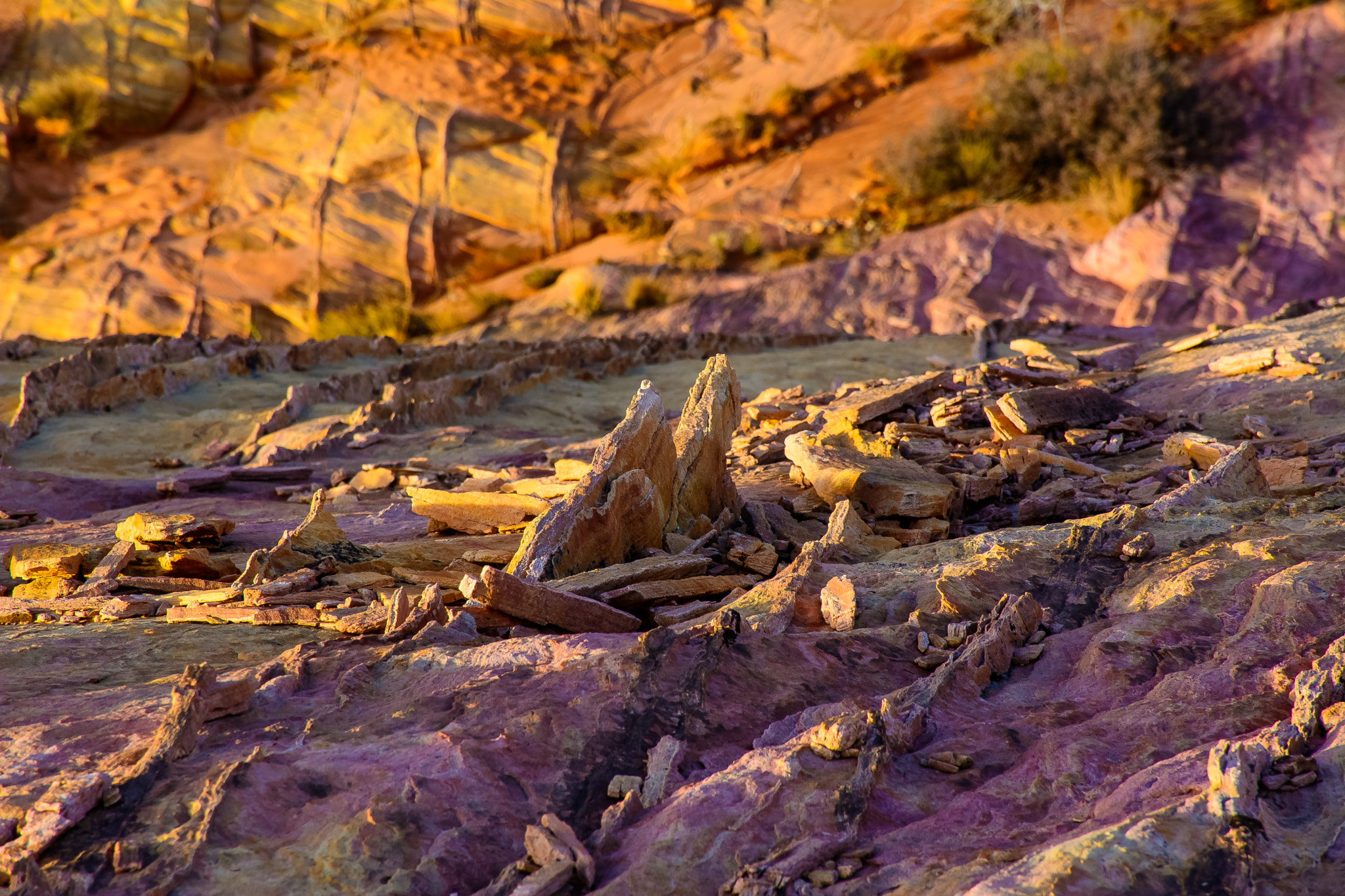 Rainbow Fins made of Stone