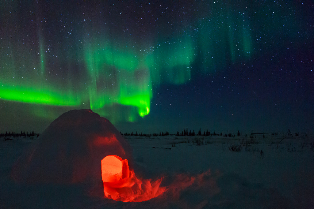 Igloo and Aurora Borealis by David Marx - best places to visit in Canada