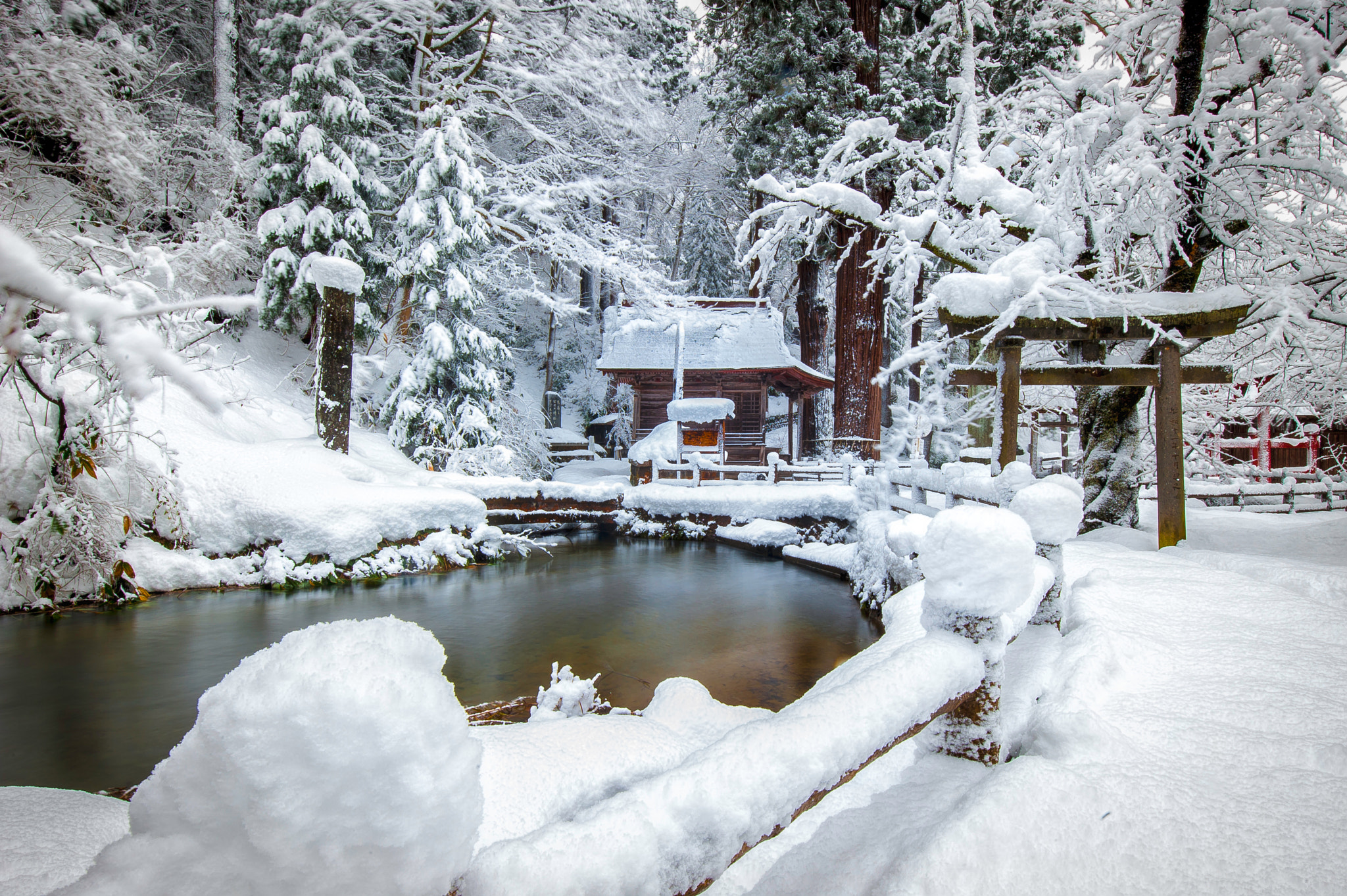 Cold Winter, Faraway Land